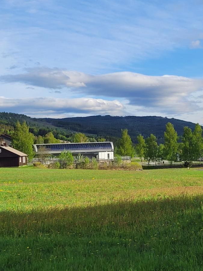 Friends & Family Apartment At Hafjell Alpinlandsby/Oyer Center ภายนอก รูปภาพ