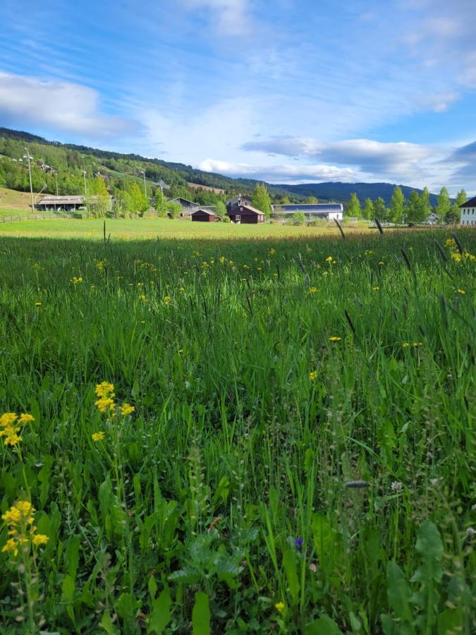 Friends & Family Apartment At Hafjell Alpinlandsby/Oyer Center ภายนอก รูปภาพ