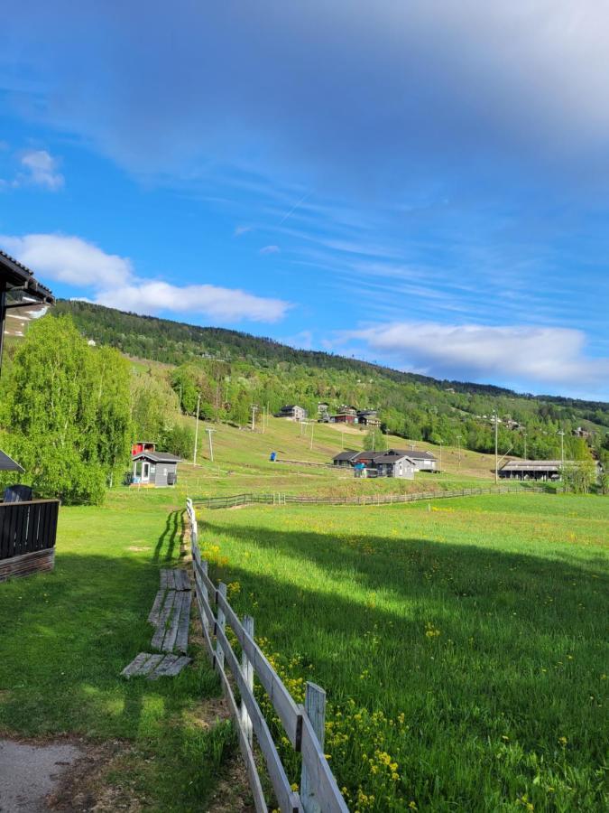 Friends & Family Apartment At Hafjell Alpinlandsby/Oyer Center ภายนอก รูปภาพ